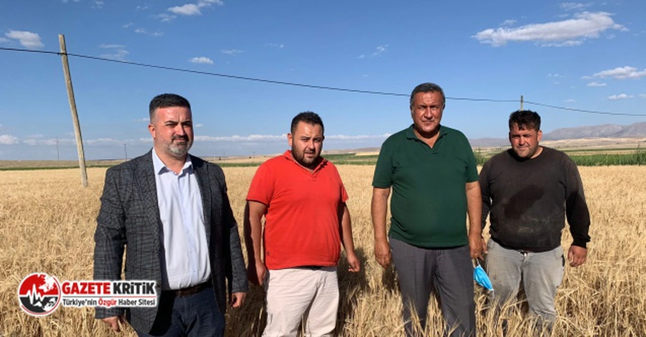 CHP'li Gürer: “Arpada ithalat tam gaz”