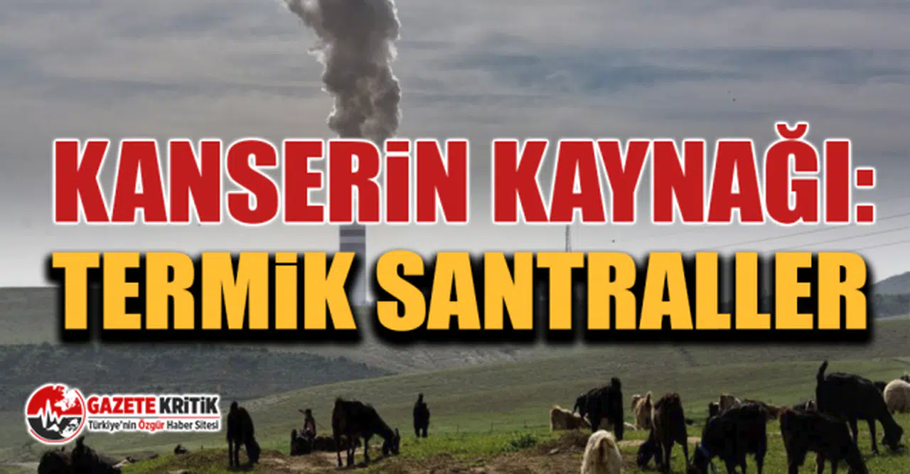 CHP'li Özgür Ceylan, Kanserin Kaynağı: Termik Santraller