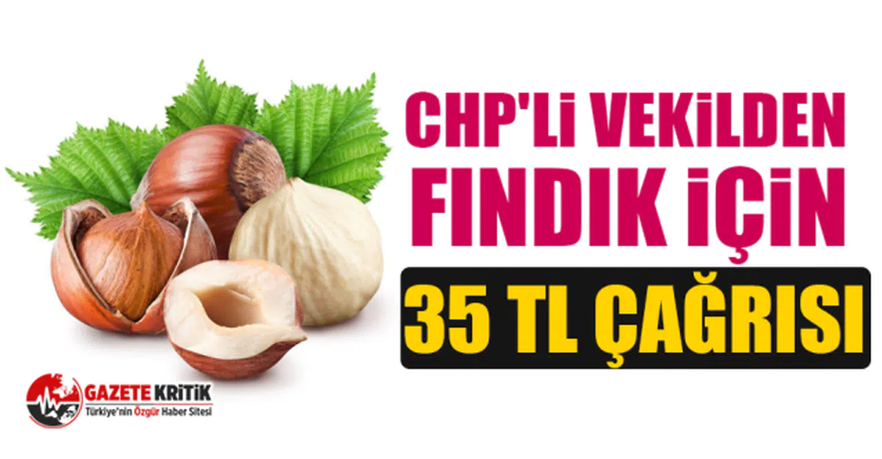 CHP'li vekilden fındık için 35 TL çağrısı