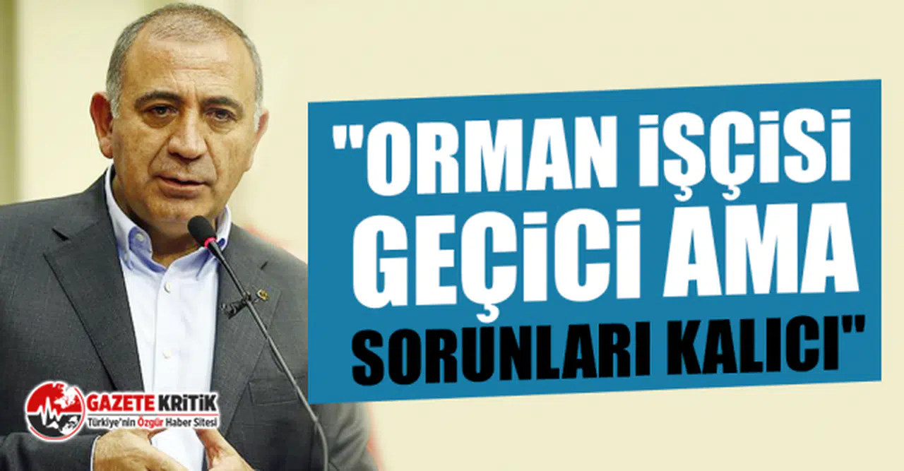 CHP "Orman İşçisi geçici ama sorunları kalıcı"