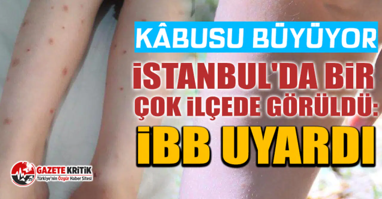 Kâbusu büyüyor... İstanbul'da bir çok ilçede görüldü: İBB uyardı