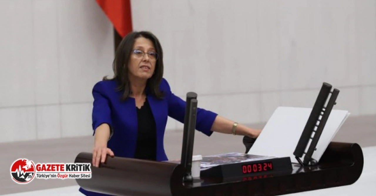 Oya Ersoy: Kürt yurttaşlara yönelik saldırılar, mahalle kavgası değil; "Örgütlü, bilinçli" saldırılardır!