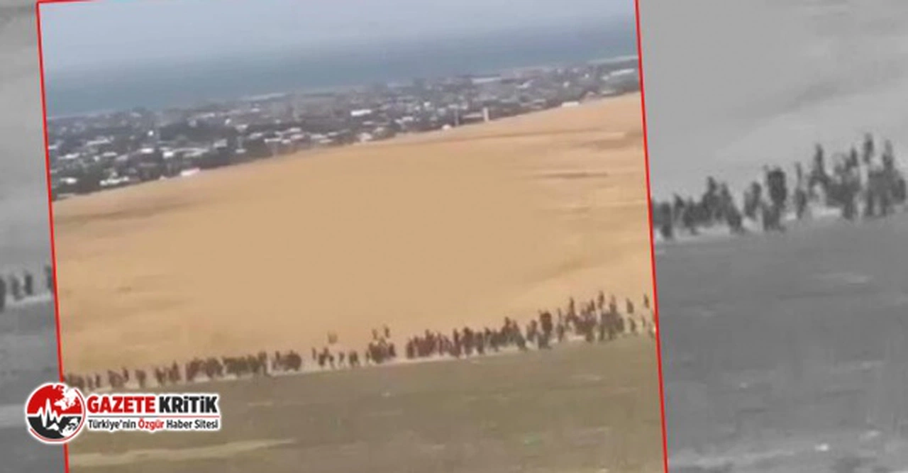 Van'da 113 Afgan göçmen yakalandı