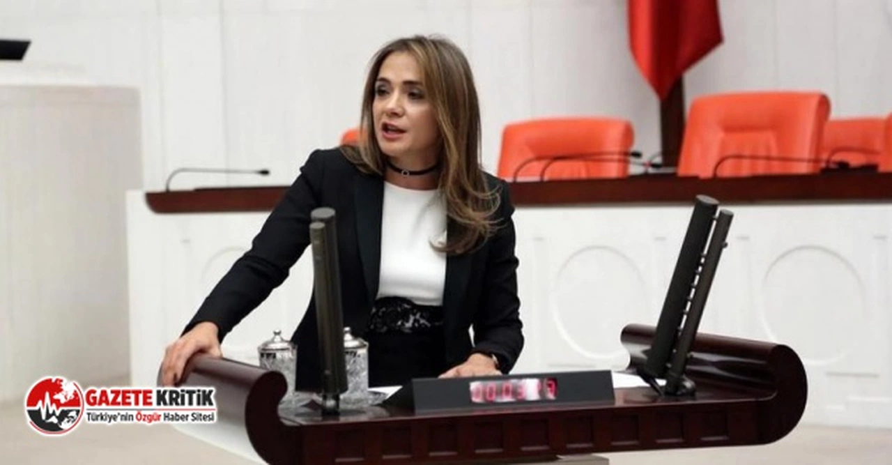 CHP'li Gamze Akkuş İlgezdi: Radyasyon izinleri yok ediliyor