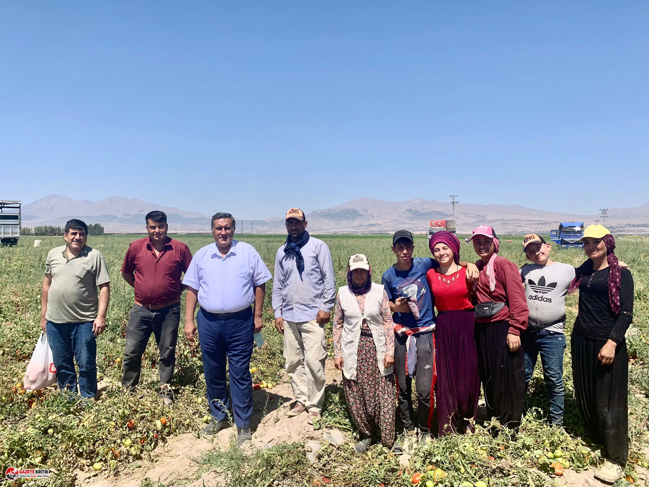 CHP'li Gürer: “Domates üreticisi, maliyeti   kurtardığına bile seviniyor”