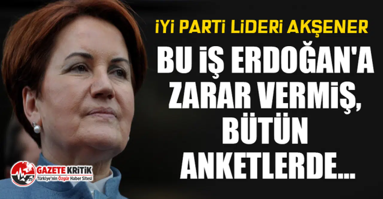 Meral Akşener: Bu iş Erdoğan'a zarar vermiş, bütün anketlerde...