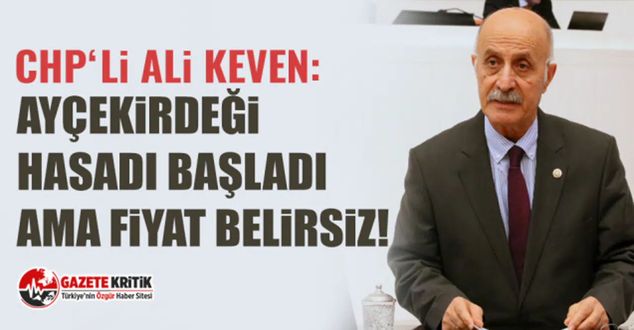 CHP'li Ali Keven: Ayçekirdeği hasadı başladı ama fiyat belirsiz!