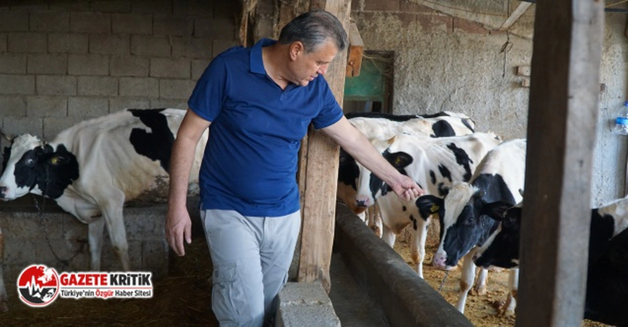 CHP'li Ayhan Barut: "Maliyeti 45 lira' diyorlar, 40 liraya alım yapıyorlar"