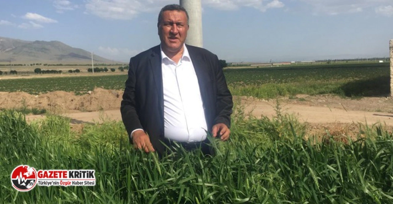 CHP'li Gürer: “TÜİK’in verilerine nasıl inanalım?”