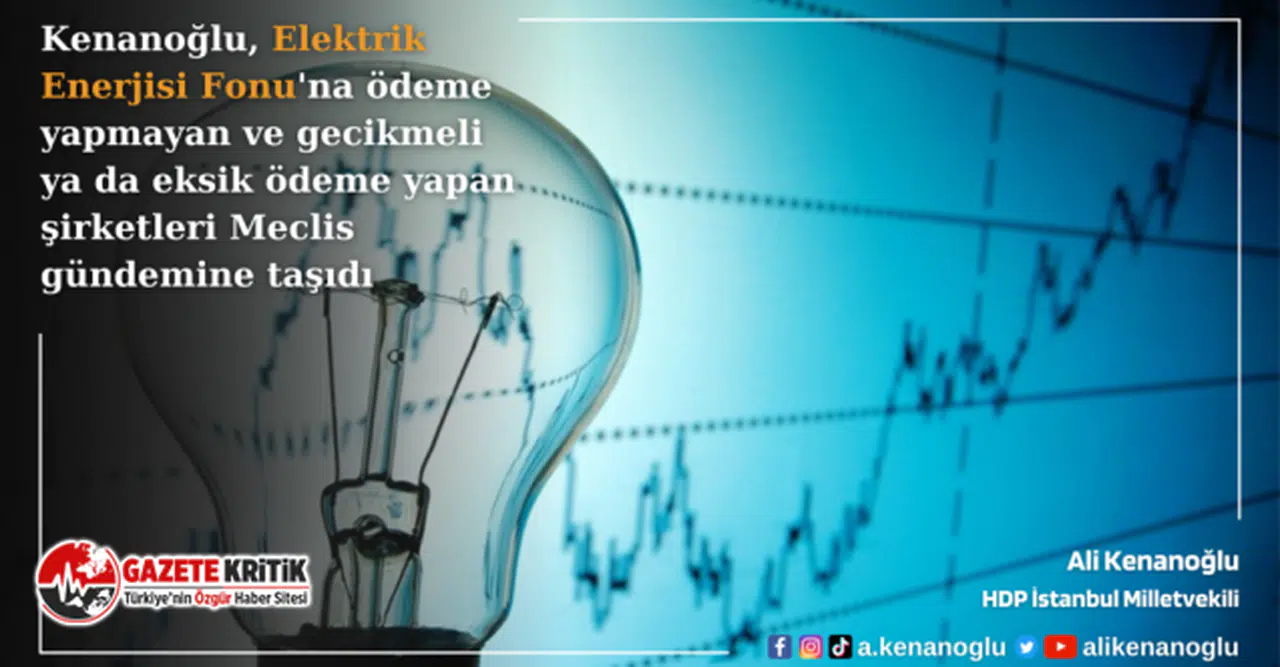 Kenanoğlu, Elektrik Enerjisi Fonu’na ödeme yapmayan ve gecikmeli ya da eksik ödeme yapan şirketleri Meclis gündemine taşıdı