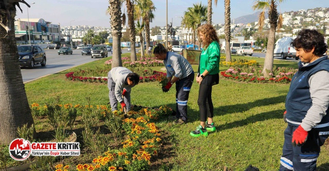 Bodrum Belediyesi Kenti Doğal Görüntüsüne Kavuşturuyor