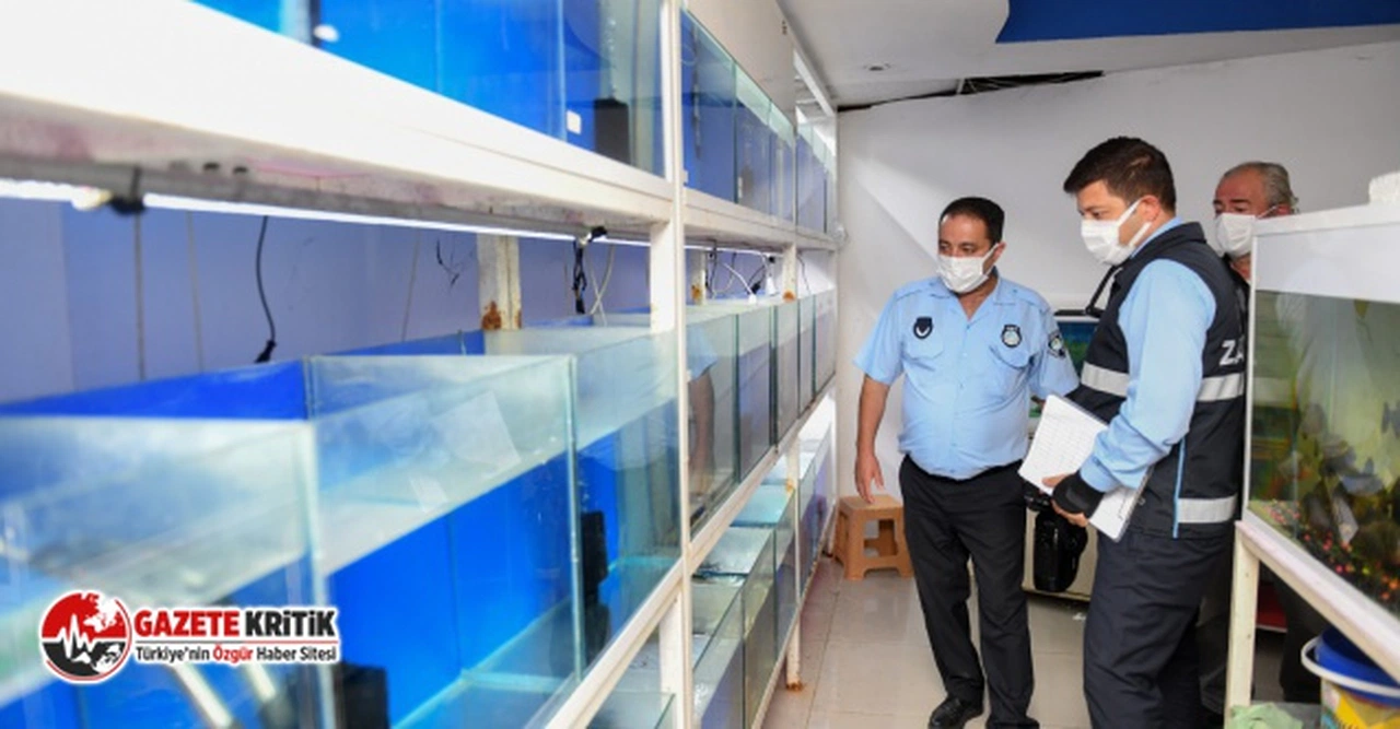 Yenişehir Belediyesi ilçedeki petshopları denetledi