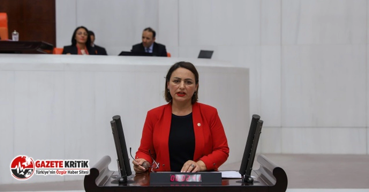CHP'li Şevkin: 'Vatandaş borç sarmalında!'