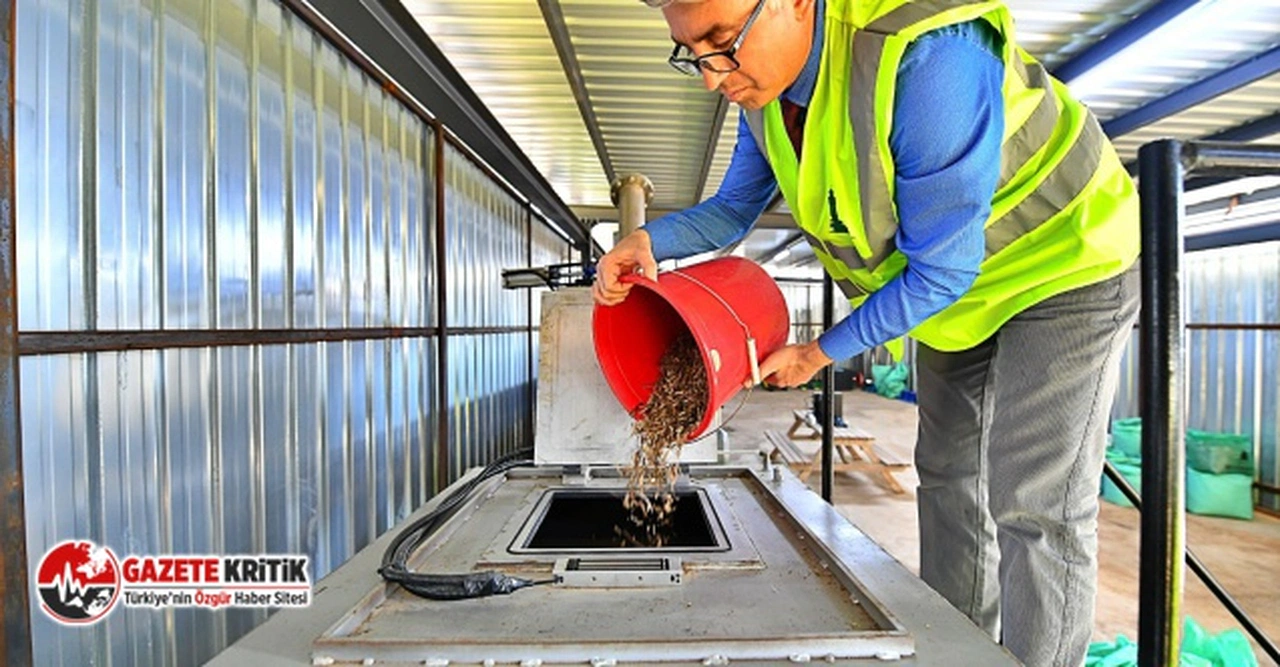 İzmir Büyükşehir Belediyesi, bitki atıklarını ekonomiye kazandırıyor