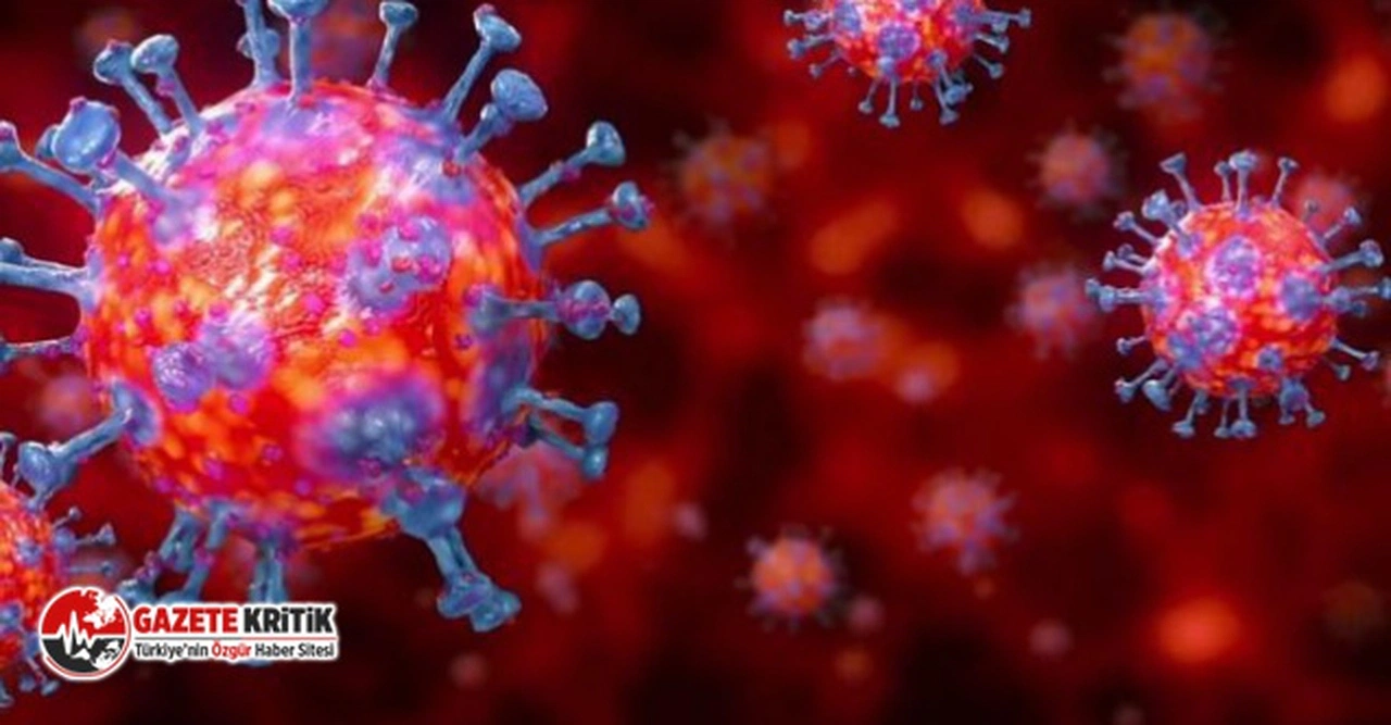 Korkutan vaka artışı: Günlük koronavirüs tablosu açıklandı!