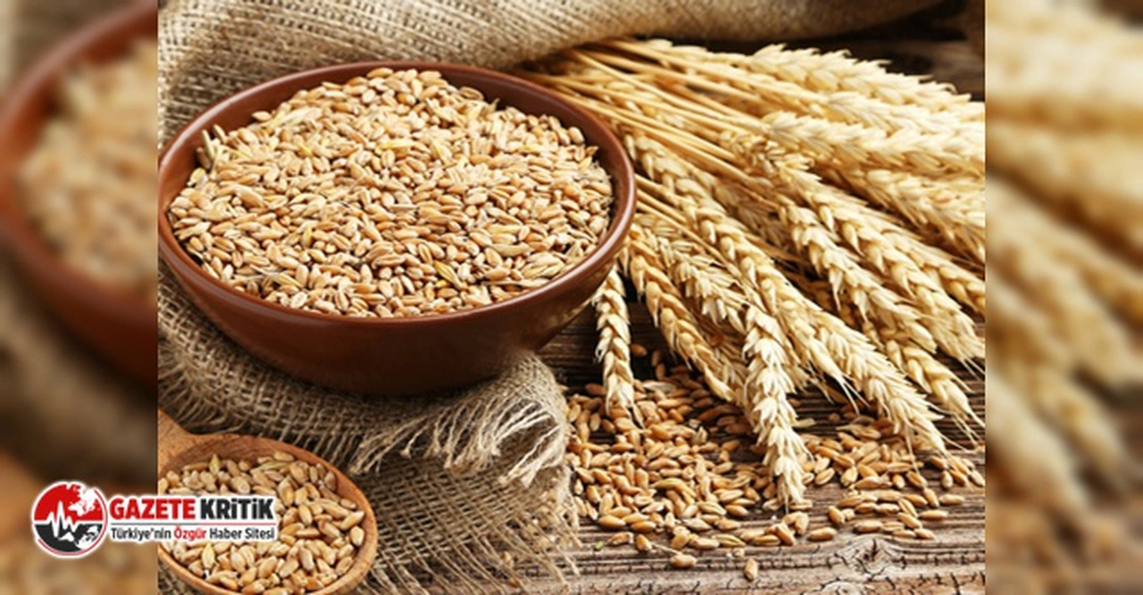 TMO geri adım attı: Ekmek de zamlanacaktı