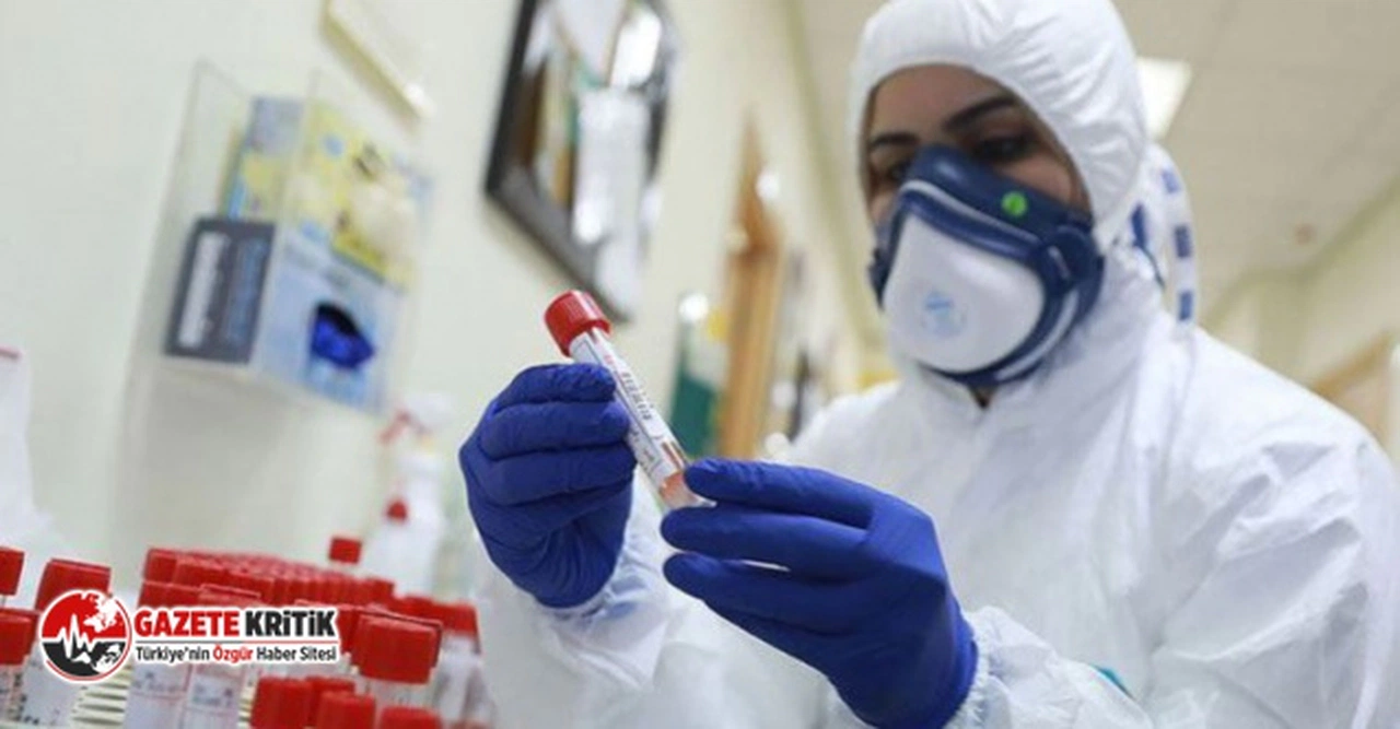 Yeni araştırma: Omicron'un bulaşma oranı ne kadar?