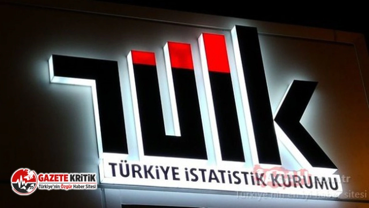 Yeniçağ yazarı TÜİK Başkanının neden görevden alındığını yazdı