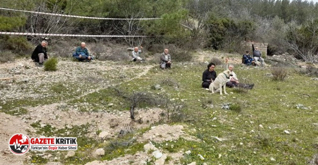 Akbelen Ormanı'nda zeytin ağaçları söküldü:Direnen köylüler yaka paça gözaltına alındı