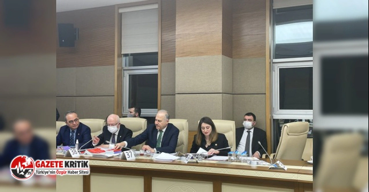 Aysu Bankoğlu: Seçim yasası teklifi iktidarı kurtarmaya yetmeyecek