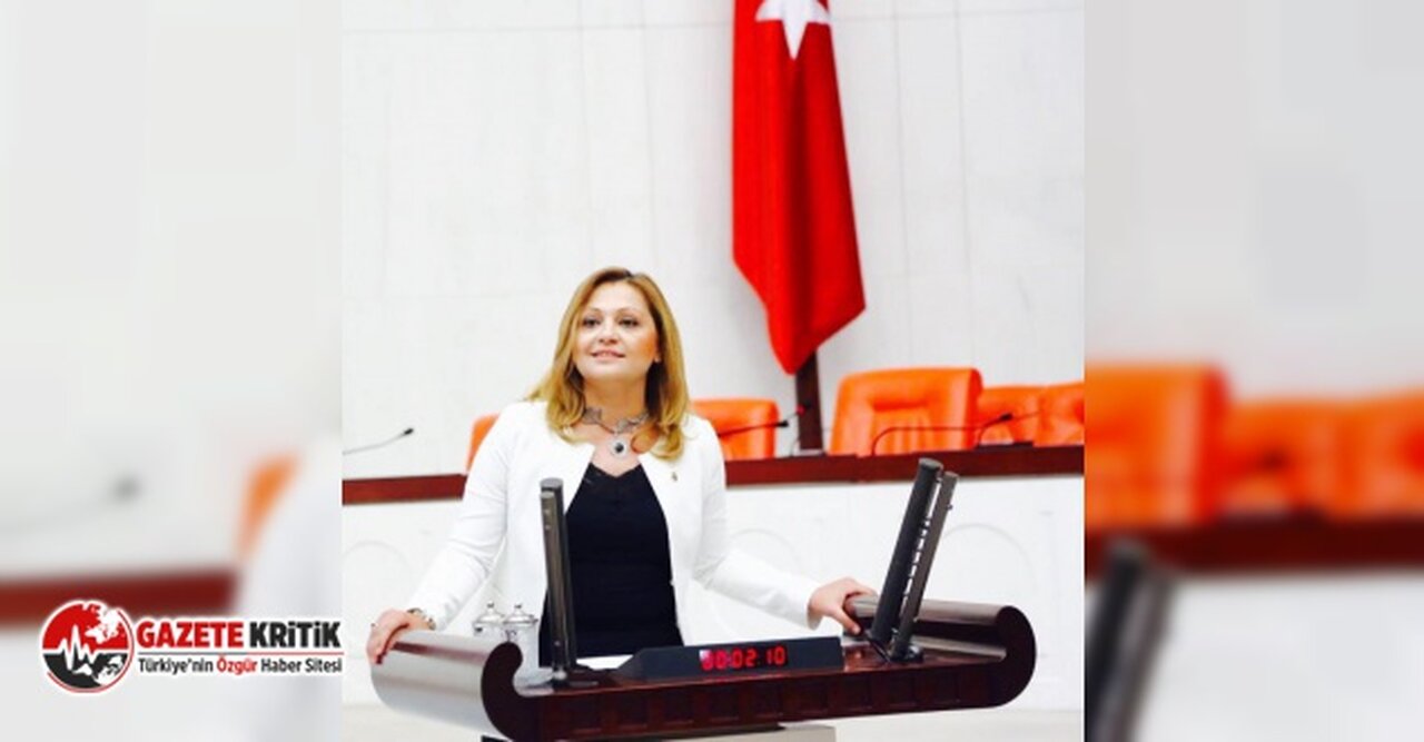 CHP'li Köksal, "AFJET sorununu" TBMM'ye taşıdı