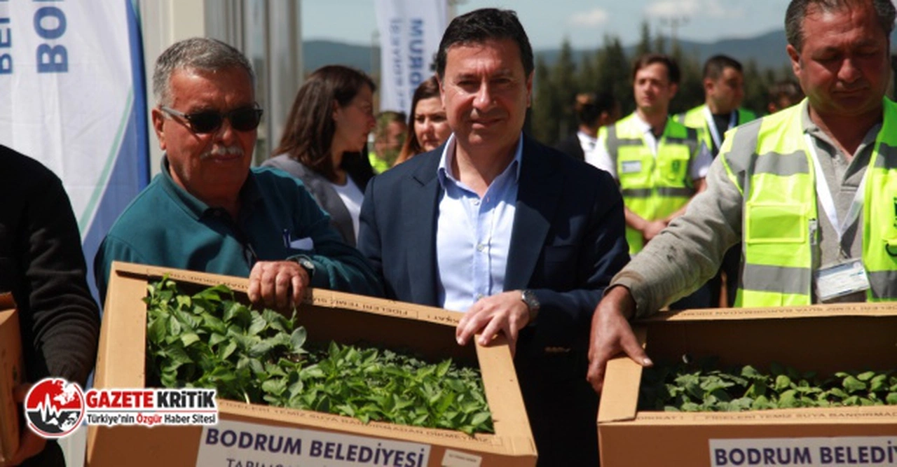 Bodrum Belediyesi üreticiye 142 bin fide dağıttı!