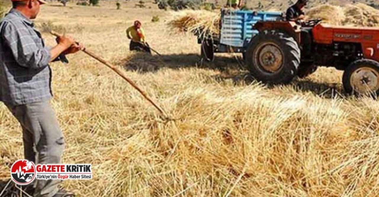Çiftçi İktidardan Hesap Sordu: "Benim 140 Litre Mazotumla 6 Torba Yemim Nerede?"