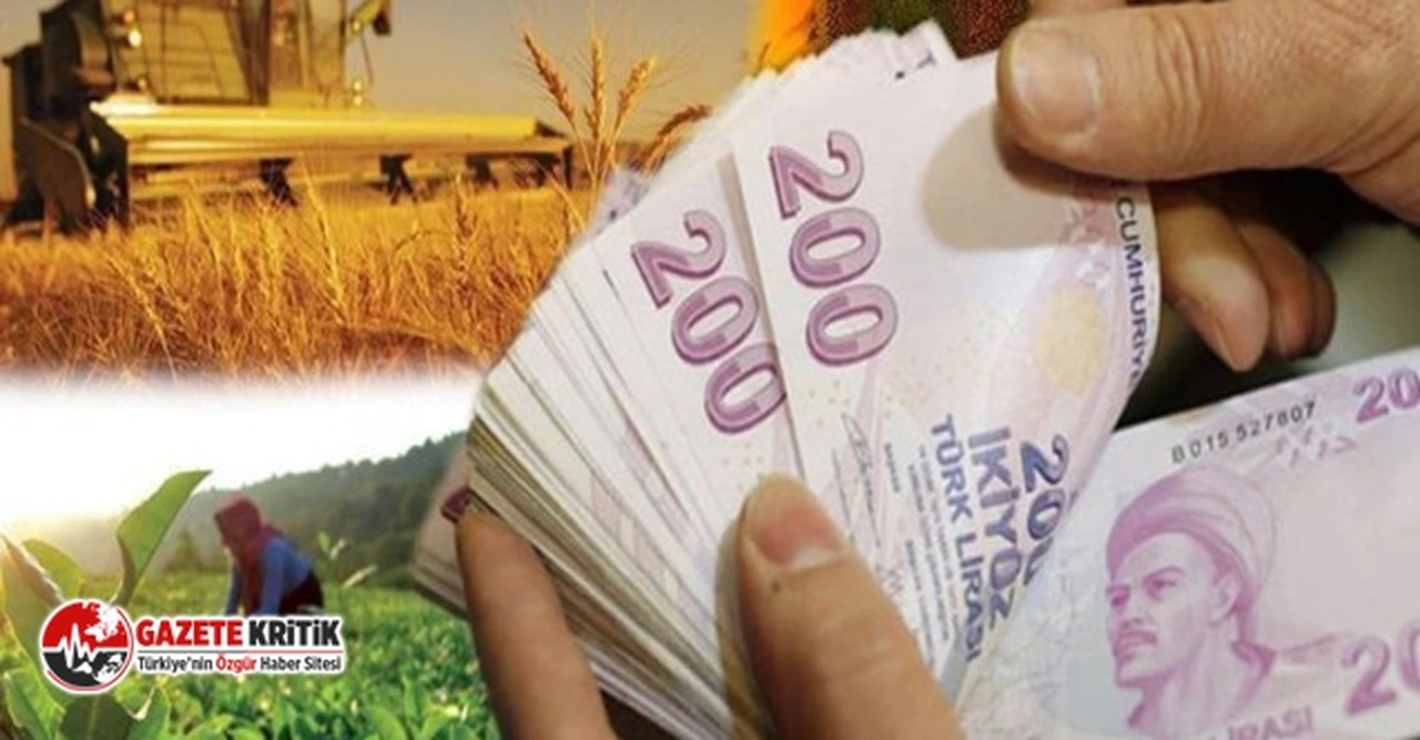 "ÇİFTÇİNİN SON 18 YILDA YAPTIĞI BORCUN SADECE BEŞTE BİRİ, 2021 YILINDA OLUŞTU"
