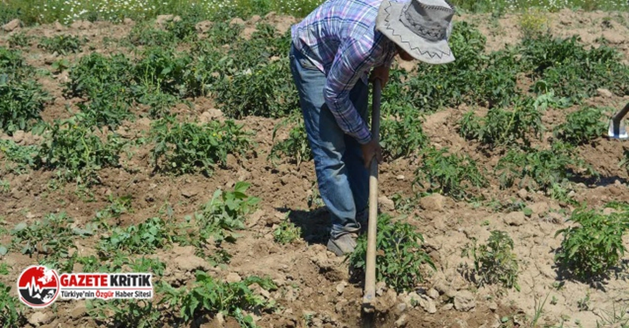 "KÖYLÜ YILLARDIR EKİP BİÇTİĞİ YERLERİ DOĞRUDAN ALABİLECEK"