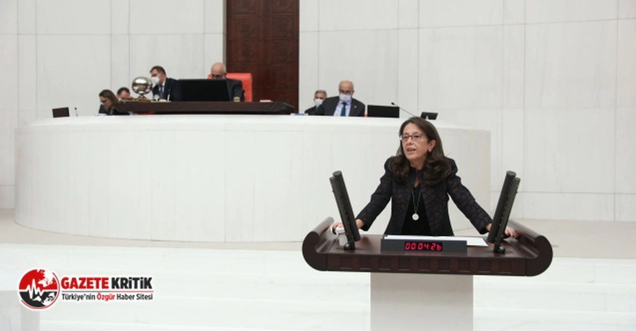 Oya Ersoy: "Edirne'de doğa katliamı yaşanıyor, tonlarca zift doğaya yayıldı!"