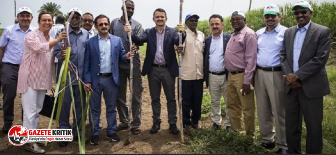 “Sudan’da Yapılan Usulsüzlüklerin Ardı Arkası Kesilmiyor”