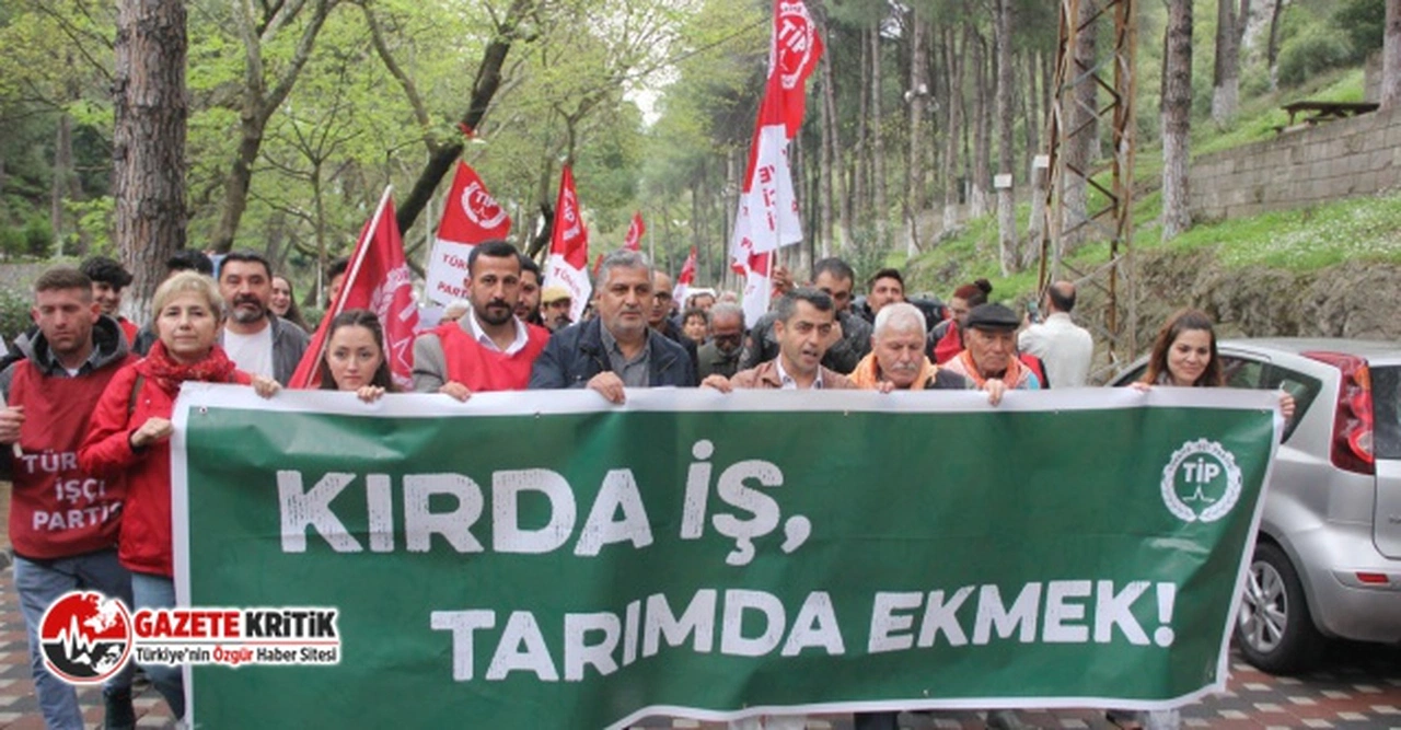 Tarım ve gıda krizinden çıkış için Türkiye İşçi Partisi’nden 15 öneri
