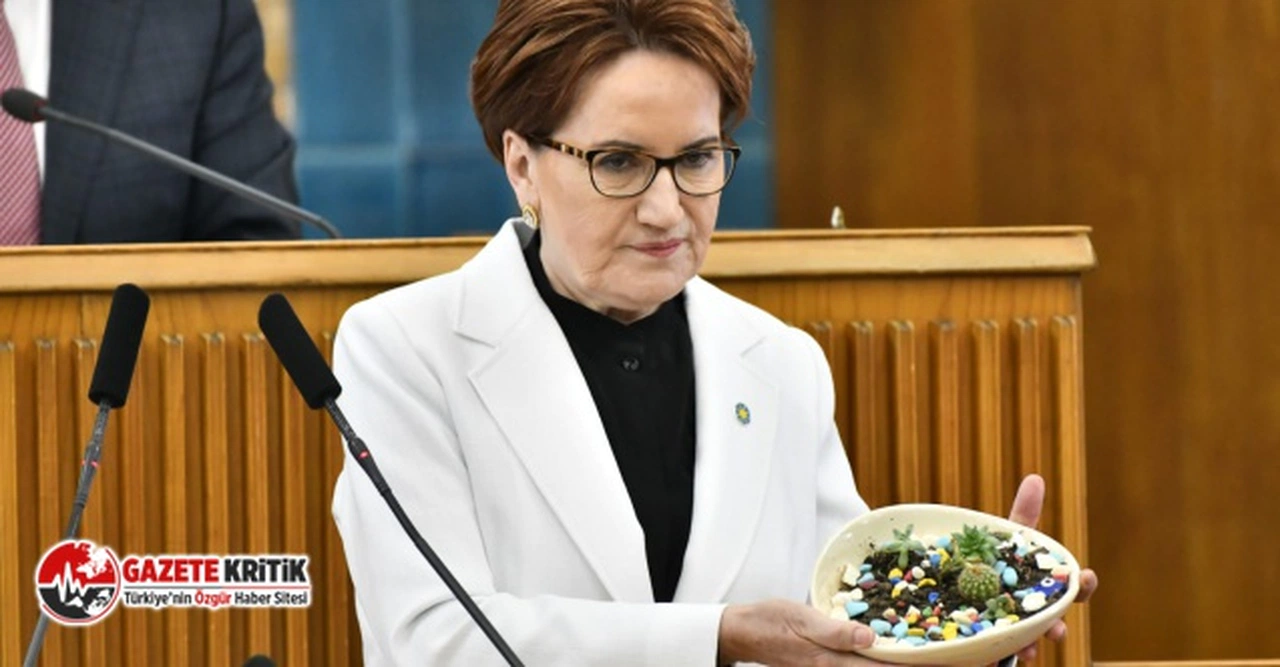 Akşener'den, Hazine ve Maliye Bakanı Nureddin Nebati'ye: "Şaklabanlıktan sorumlu saray bakanı"