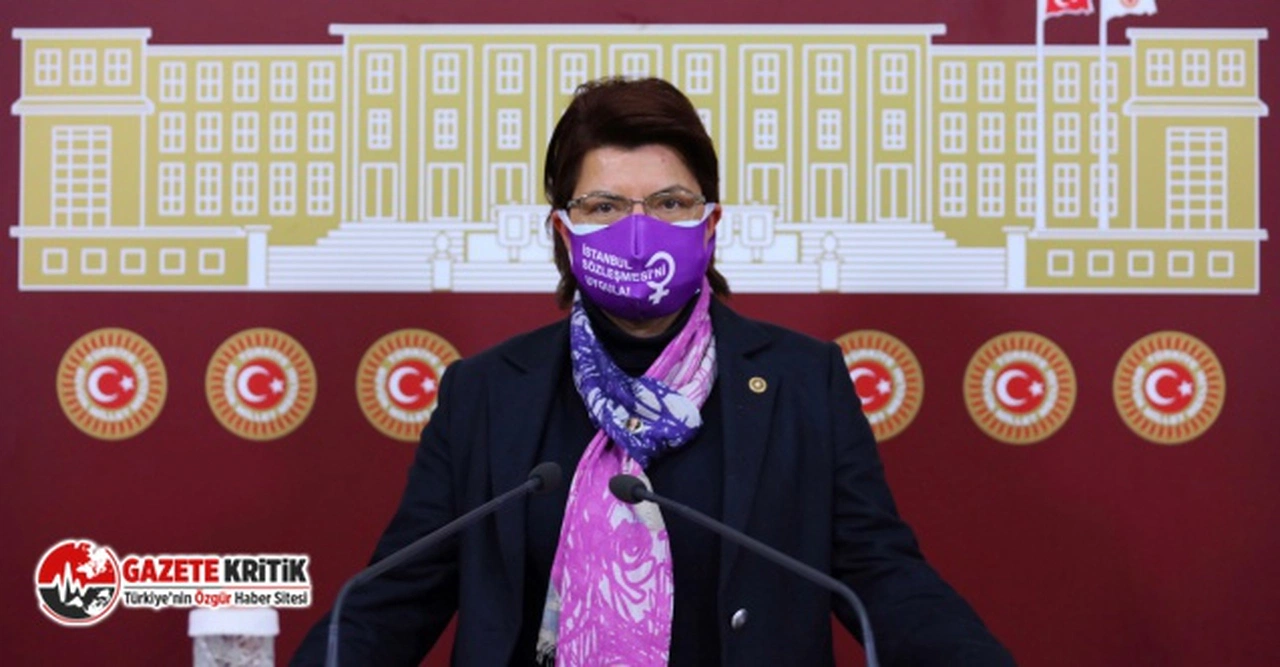 CHP KADINA ŞİDDETİN MECLİSTE ARAŞTIRILMASINI İSTİYOR