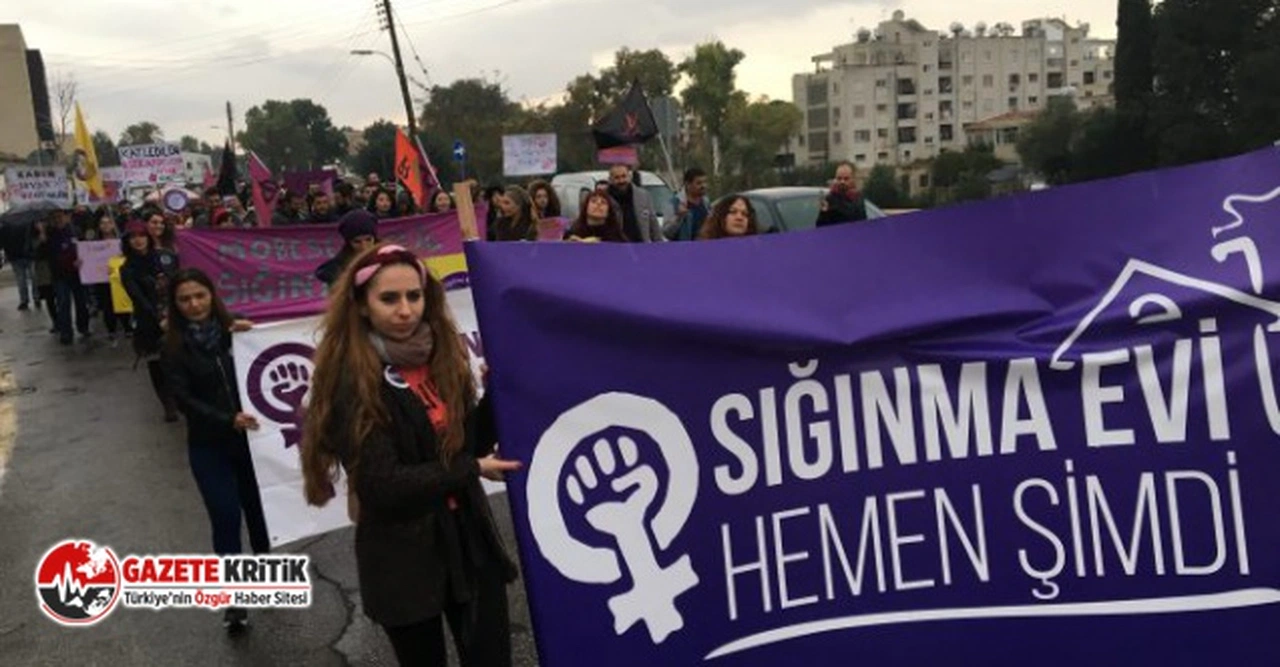 CHP'li Alban kadın sığınaklarını Meclis gündemine taşıdı