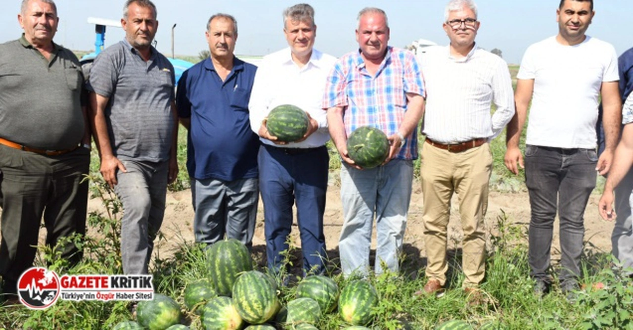 CHP'li Barut:"Karpuz tarlada 2.5, markette 15 lira"