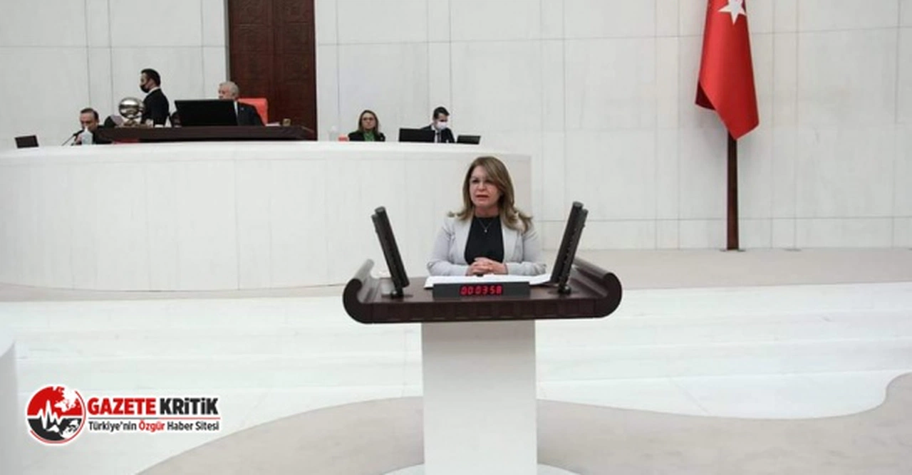 CHP'Lİ GÜLİZAR BİÇER KARACA: PANSUMAN TEKLİFİ REDDEDİYORUZ