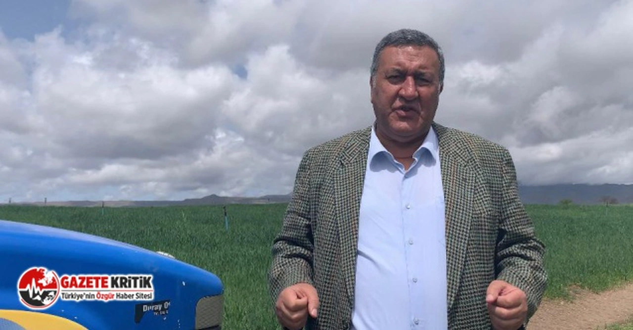 CHP'li Gürer: Gürer: “Buğday taban fiyatı en az 7 bin lira olmalı”