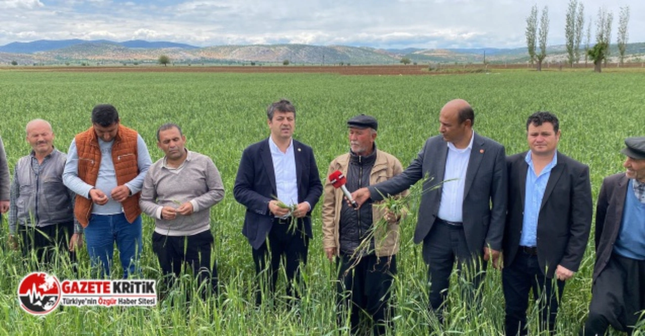 CHP'Lİ TUTDERE: DOLU AFETİNDEN DOLAYI FISTIK AĞAÇLARINDA DAL, BUĞDAYLARDA BAŞAK KALMADI