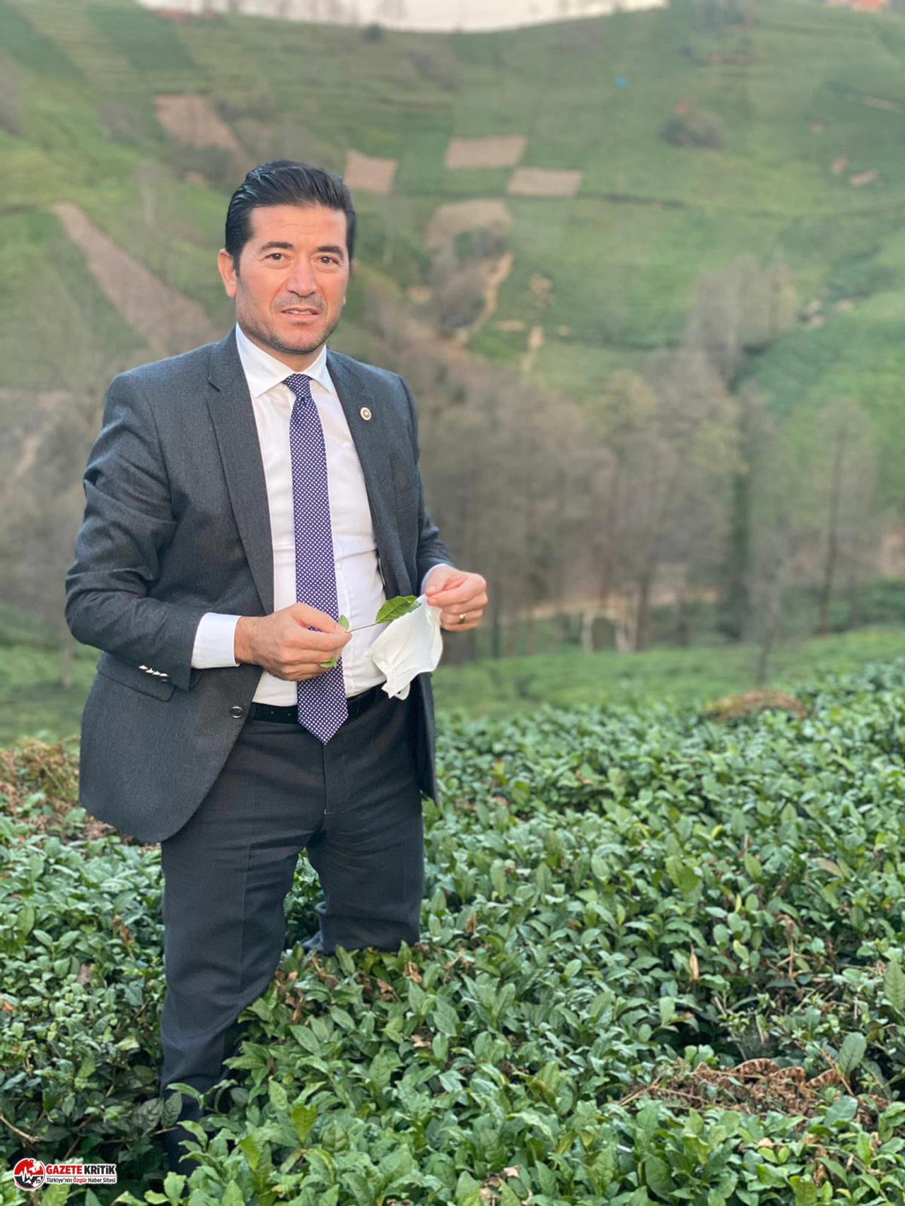 CHP’Lİ AHMET KAYA: “YAŞ ÇAY TABAN FİYATI EN AZ 10 LİRA OLMALI”