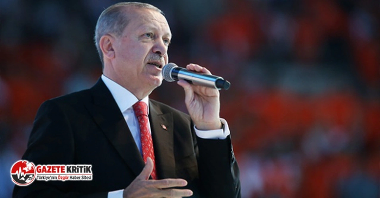 Hürriyet yazarı Selvi Cumhurbaşkanı Erdoğan'ın erken seçim sorusuna yanıtını yazdı