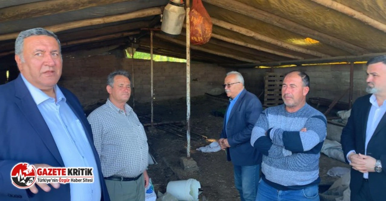 YEM FİYATLARINDAKİ ARTIŞ HAYVANCILIĞI BIRAKTIRIYOR