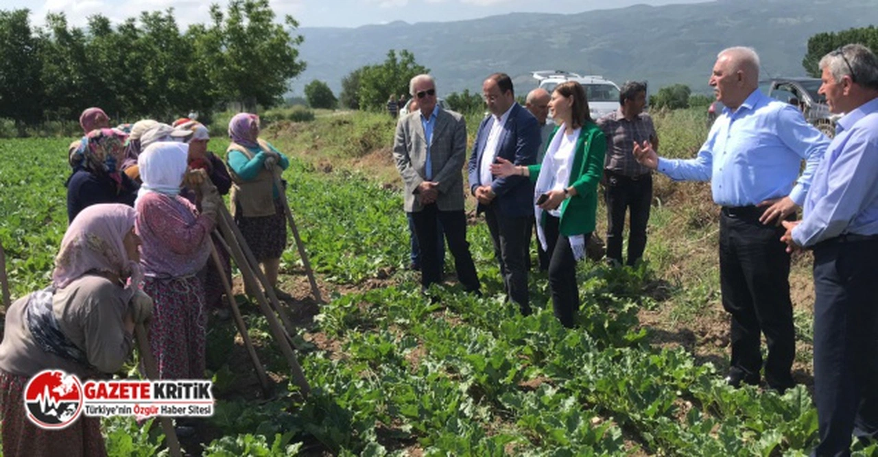 CHP HEYETİ TOKAT’TA TARIM İŞÇİLERİYLE: “ALIM GÜCÜMÜZ BİTTİ”