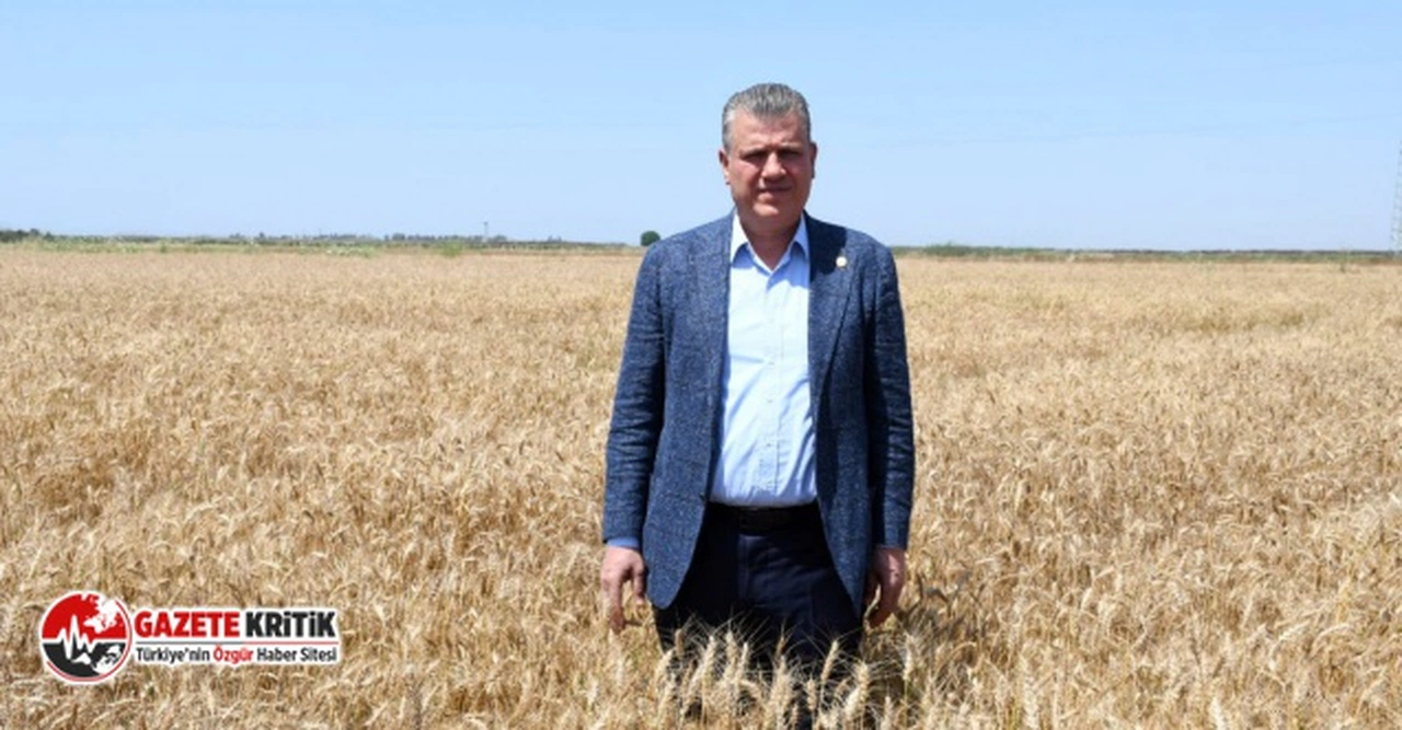 CHP'li Ayhan Barut'tan buğday taban fiyatı tepkisi