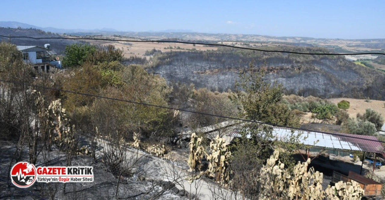 CHP'li Ayhan Barut'tan orman yangınlarına karşı seferberlik çağrısı