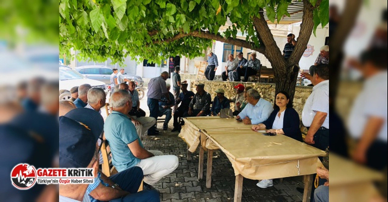 CHP'li Şevkin: Afgan çoban çıkışına milletvekili, köylü, çiftçi tepkisi