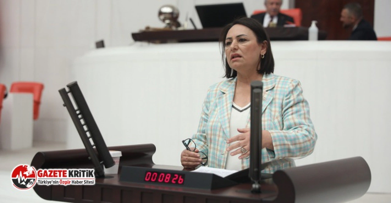 CHP'li Şevkin:“Yoksulluk diz boyu, ithalat artıyor, paralar yurtdışına akıtılıyor!”