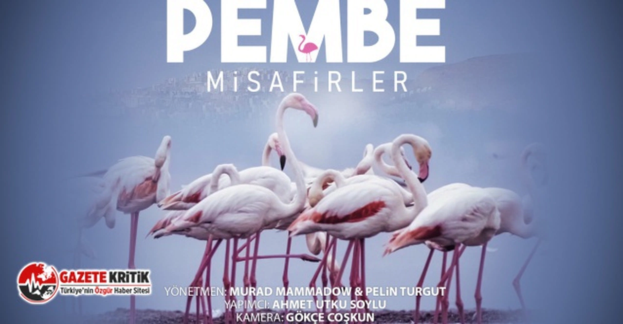 Çiğli’nin Pembe Misafirleri 10 Festivalde Ödüle Aday