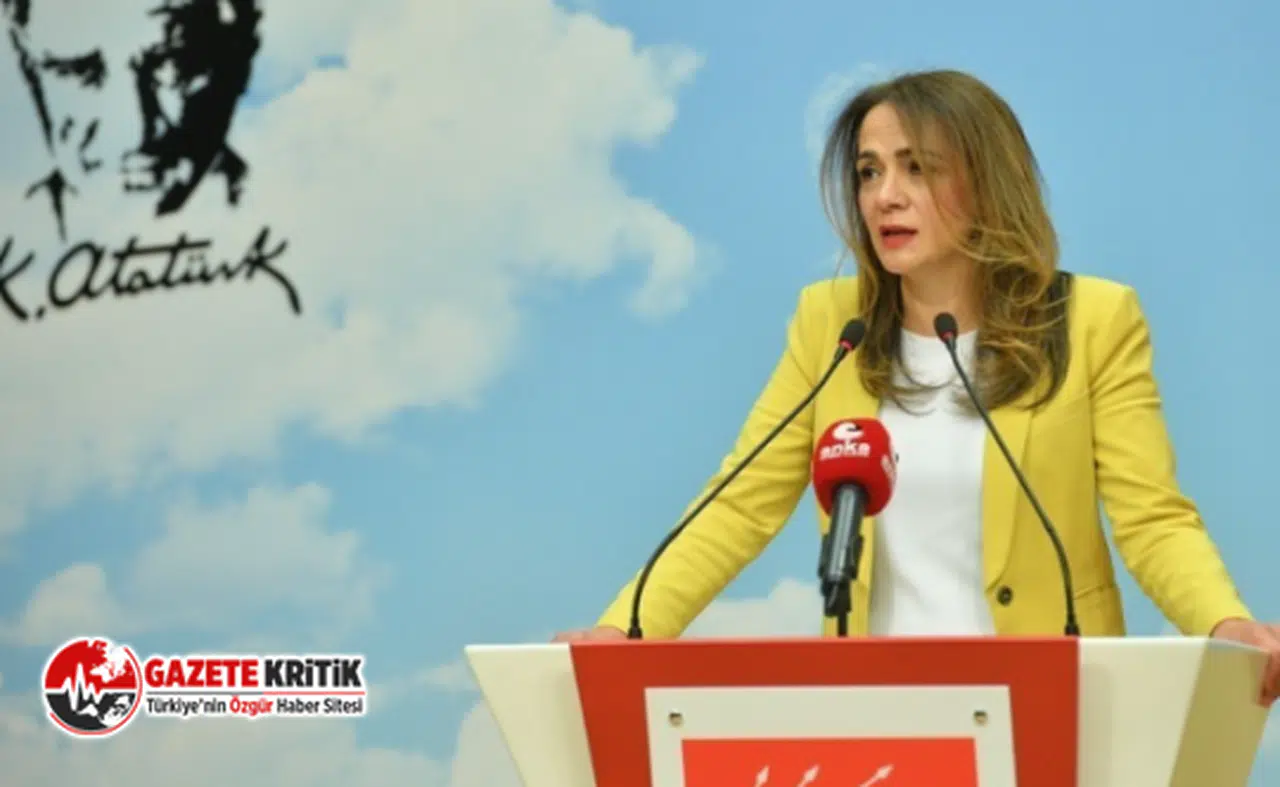 GAMZE AKKUŞ İLGEZDİ: “SİZ SİGARA ZAMMI İLE MEŞGULSÜNÜZ, GENÇLERİMİZ UMURUNUZDA DEĞİL”