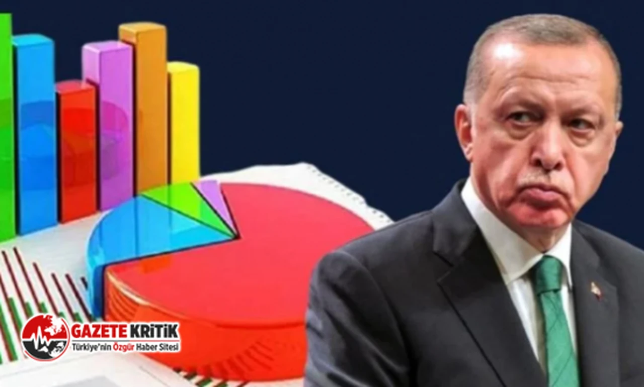 'Sürtük' sözünün sorulduğu ankette şaşırtan sonuçlar!